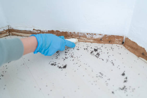 Monahans, TX Pest Control Company